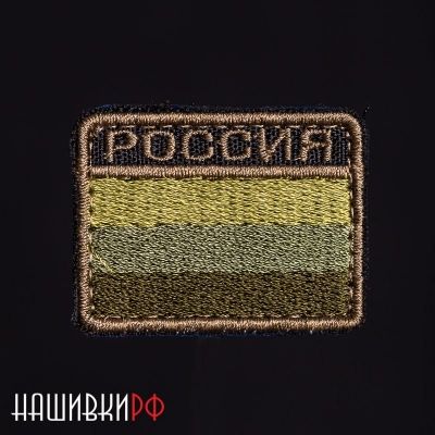 Нашивка Россия флаг цвета мультикам