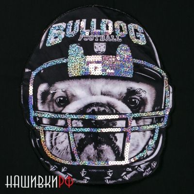 Нашивка на спину бульдог, расшитая пайетками