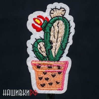 Нашивка с цветущим кактусом