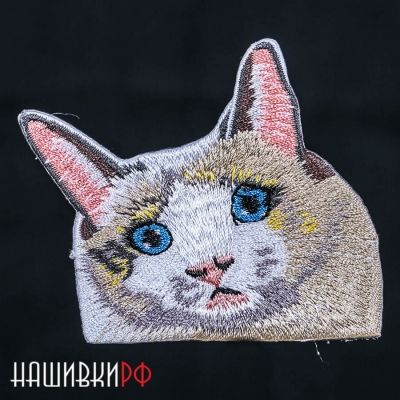 Котик нашивка для одежды