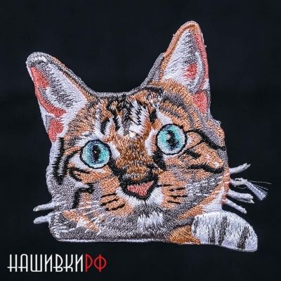 Нашивка с рыжим котом