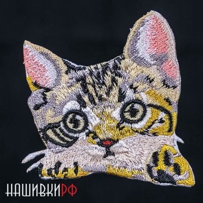 Котенок термо нашивка