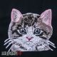 Котенок усатый полосатый термо нашивка