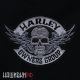 Нагрудная нашивка HARLEY OWNERS GROUP