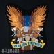 Нашивка на спину гром. Вышивка ROLLING THUNDER